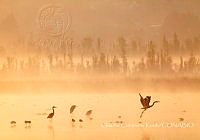 CCK009 Xochimilco, Ciudad de México.jpg