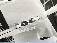 DUHB0047 Bacteriastrum hyalinum.png