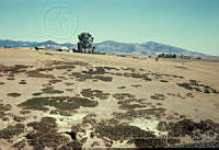 FGM4148 Metztitlán, Hidalgo.JPG