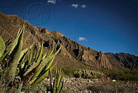 FBA0101  Cuatro Ciénegas, Coahuila.jpg
