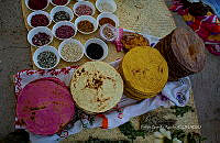 FBA0863 Phaseolus vulgaris y Zea mays.jpg