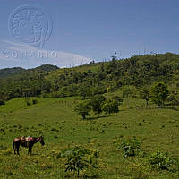 Paisaje Rural.jpg