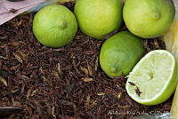 ARS00325 Sphenarium purpurascens (2).jpg