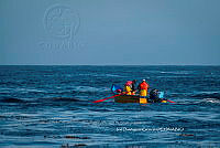 IDG Nat 0064 Pesca en la Isla.jpg