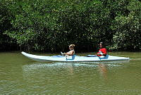 CD0162 Ría Celestun, Yucatán.jpg