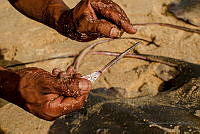 SJGM02 Michoacán, México.jpg