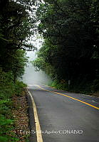 FBA1069 Las cascadas Comaltepec_11.jpg