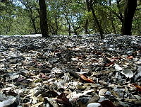 MRR037 Pueblo Viejo, Veracruz.jpg