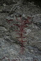FBA0769 Pinturas rupestres.jpg