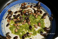 3R00667 Ascra conspersa.jpg