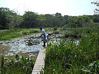 JVB0048 La Mancha, Veracruz.jpg