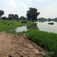 PRB0219 Cuautitlán Izcalli, Estado de México.jpg