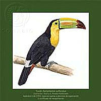ComercioEspecies_3.tif