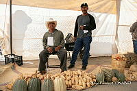 LRP 1709 Cucurbita; Zea mays.jpg