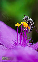 41_PLANTAS_MENCION_2017-02-27_232924_10301.jpg