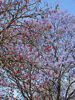 DSC00144.jpg