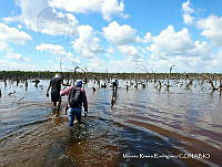 MRR0061 Tuxpan, Veracruz.JPG