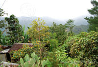 DK0630 Santa Cruz Tepetotulta, Oaxaca.jpg