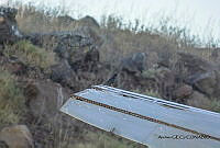 GECI L046 045 Sturnus vulgaris.JPG