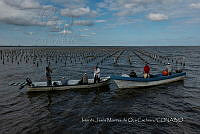 IMDOC4132 Panorámicas de INAPESCA.jpg