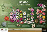 Cartel-Dalias.jpg