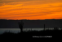 IDG Nat 0059 Atardecer.jpg