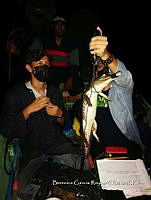 TE001 0005 Crocodylus acutus.jpg