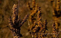 FBA1212 Santa María Huatulco_26.jpg