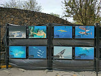 Exposición zoológicos 9 Exposición en los zoológicos.jpg