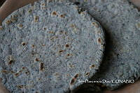 ZG014 0437 Zea mays.jpg