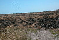 CONANP GR006 0022 Sabancuy Carmen, Campeche.jpg