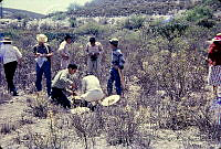 1371 Ixmiquilpan, Hidalgo.jpg