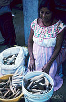 DK1621 Puerto Escondido, Oaxaca.jpg