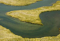 CNS0092 Bahía Magdalena, Baja California Sur.jpg
