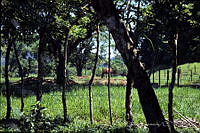 DK1068 Tapijulapa, Tabasco.jpg