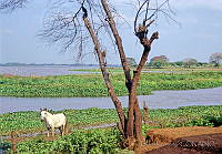 DK1163 Tierra Colorada, Tabasco.jpg