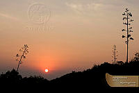 07_IMG_1852.jpg