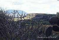 DK0902 Yagul, Oaxaca.jpg