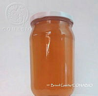 ZG013 0479 Apis mellifera.jpg