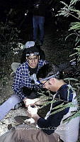 WI005 0084 Tliltocatl schroederi.jpg