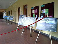 Escuela Tlalpan2.jpg