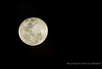 MASM07927 Chiapas, México.jpg