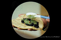 FGM0018 Zea mays.JPG