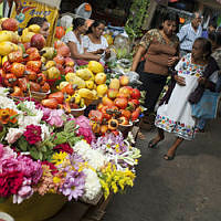 Anacardium occidentale_2874.jpg