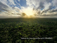 MN6FA0052 Selva Maya.jpg