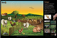 poster_campo.jpg