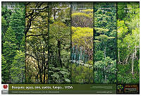 Cartel Año Int Bosques_Final.jpg