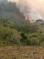 WH002 015 incendio forestal copia.jpg