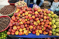 IMDOC Hong 0053 Malus sp.jpg.jpg