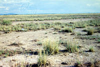 FGM4192 Villa Ahumada, Chihuahua.JPG